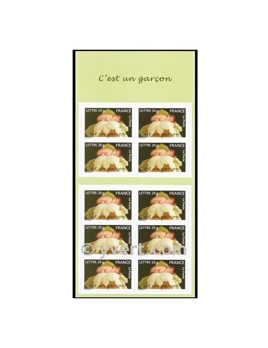 n° BC3805 - Timbre France Carnets Divers