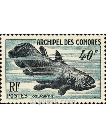 n° 13 - Timbre Comores Poste