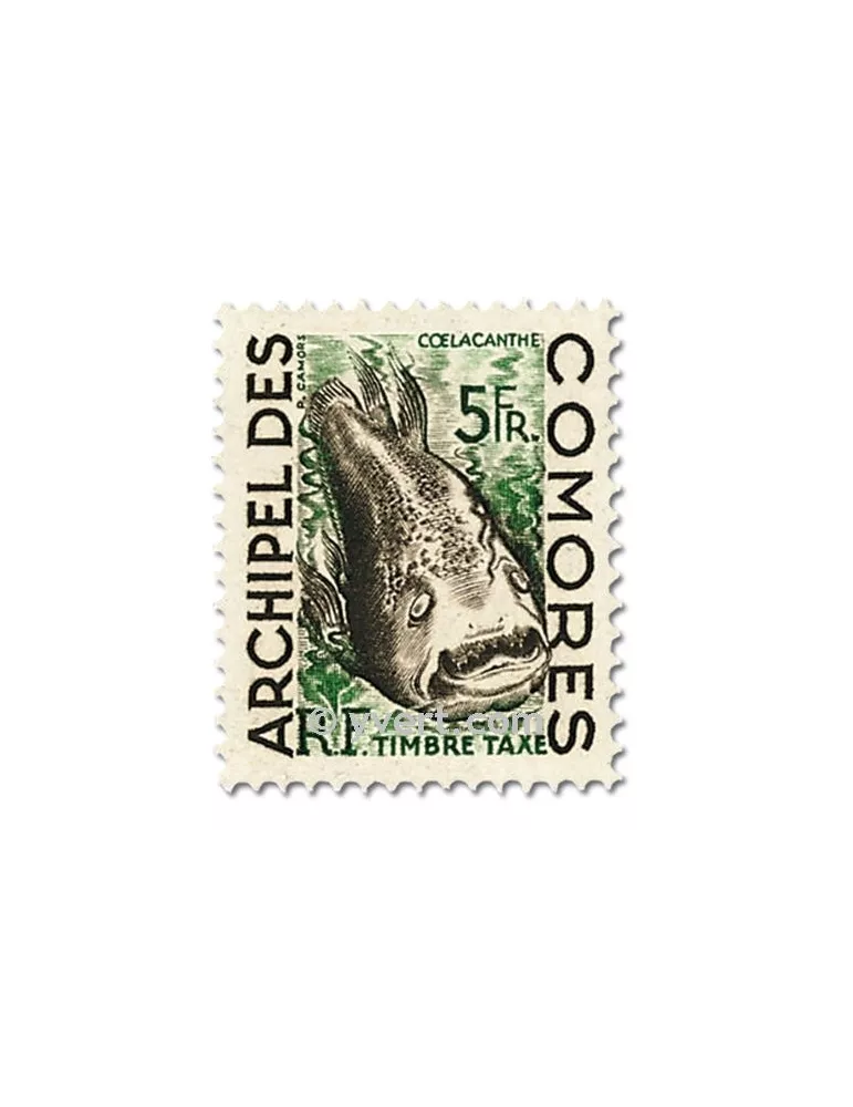 n° 3/5 - Timbre Comores Taxe