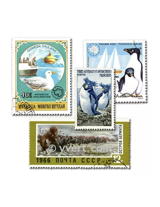AUSTRALIE ANTARCTIQUE : pochette de 25 timbres (Oblitérés)