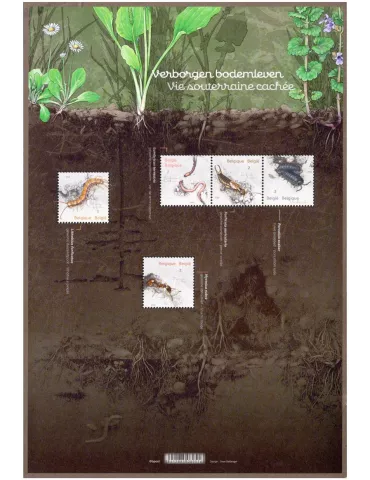 n° F5147 - Timbre BELGIQUE Poste