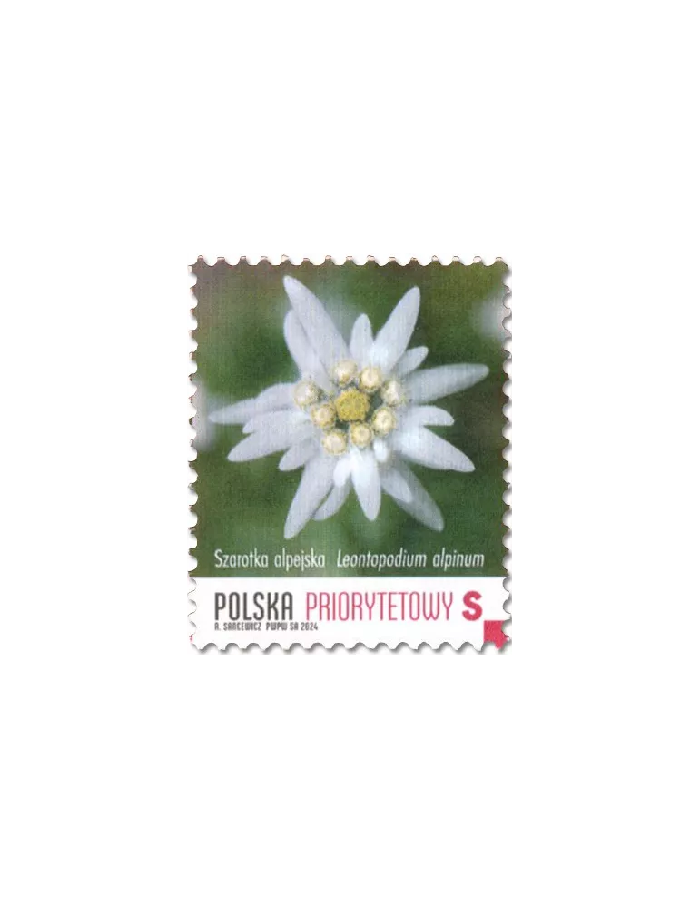 n° 5065 - Timbre POLOGNE Poste
