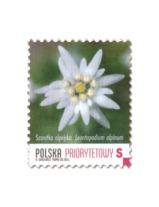 n° 5065 - Timbre POLOGNE Poste