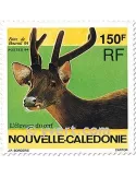 n° 664 - Timbre Nelle-Calédonie Poste