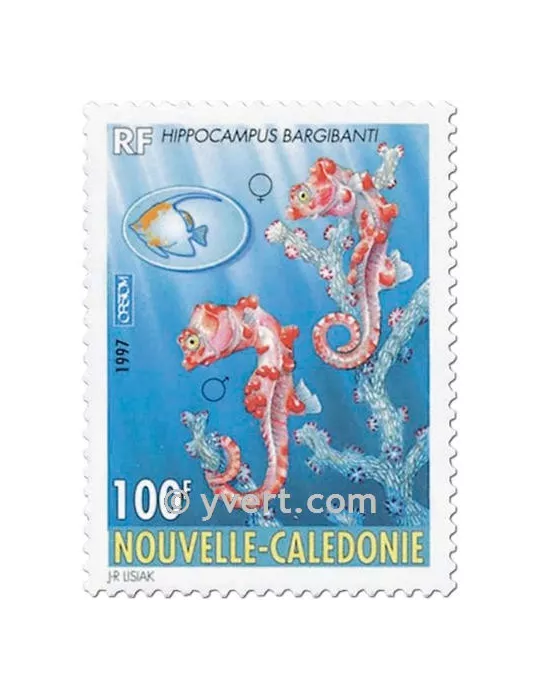 n° 740 - Timbre Nelle-Calédonie Poste