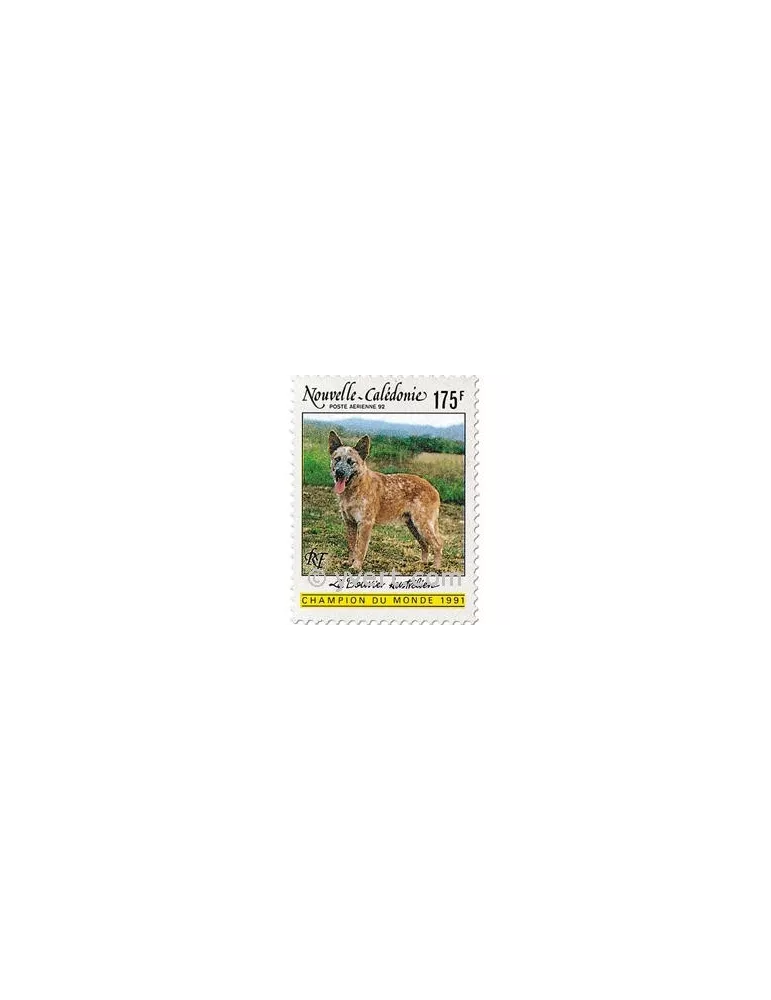 n° 288 - Timbre Nelle-Calédonie Poste aérienne