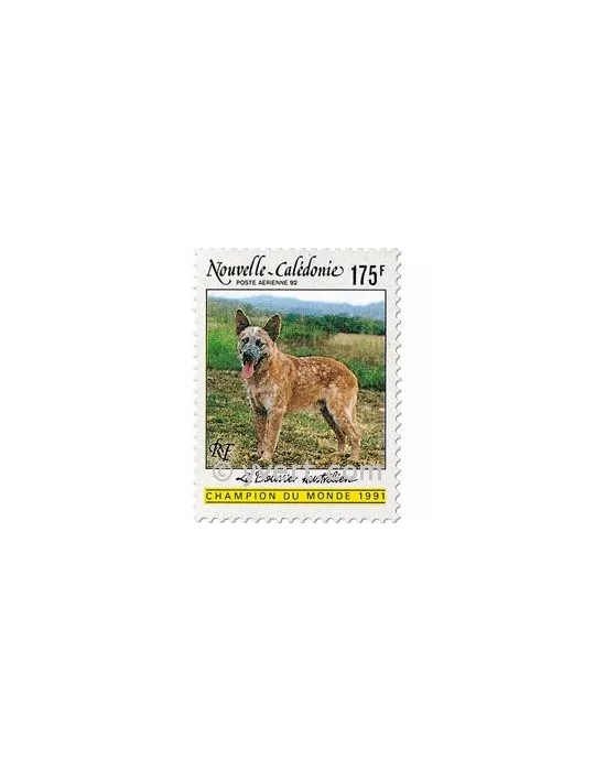n° 288 - Timbre Nelle-Calédonie Poste aérienne
