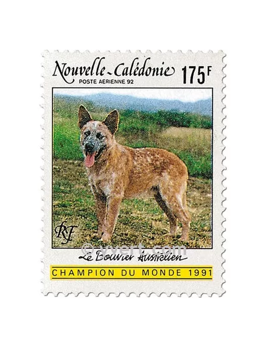 n° 288 - Timbre Nelle-Calédonie Poste aérienne