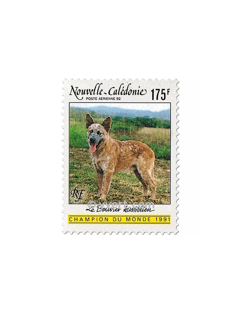 n° 288 - Timbre Nelle-Calédonie Poste aérienne
