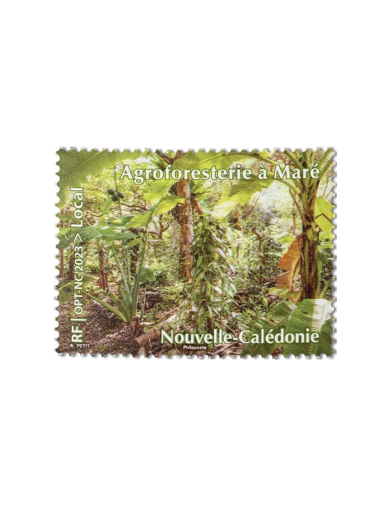 n° 1436 - Timbre Nelle Calédonie Poste