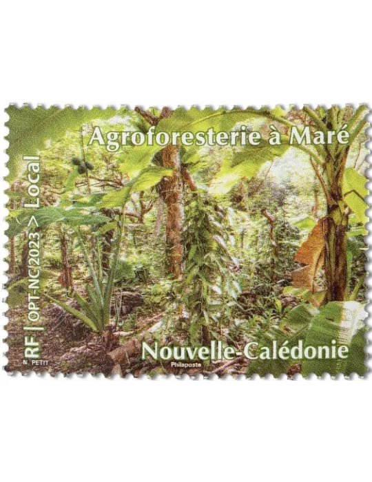 n° 1436 - Timbre Nelle Calédonie Poste