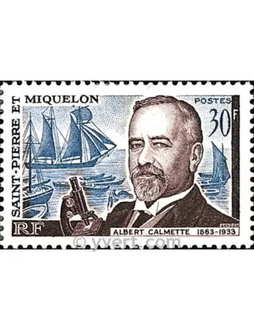 n° 368 - Timbre Saint-Pierre et Miquelon Poste 2