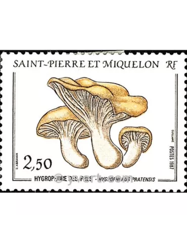 n° 475 - Timbre Saint-Pierre et Miquelon Poste 2