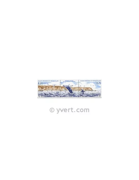 n° 495A - Timbre Saint-Pierre et Miquelon Poste