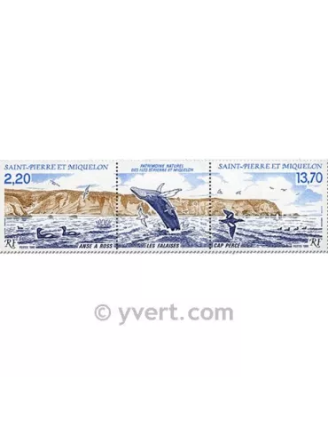 n° 495A - Timbre Saint-Pierre et Miquelon Poste 2