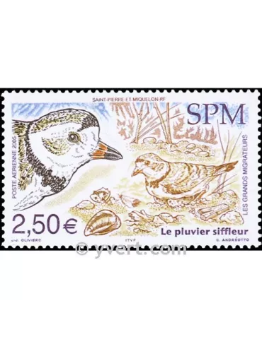 n° 85 - Timbre Saint-Pierre et Miquelon Poste aérienne