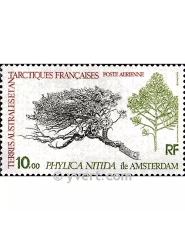 n° 60 - Timbre TAAF Poste aérienne