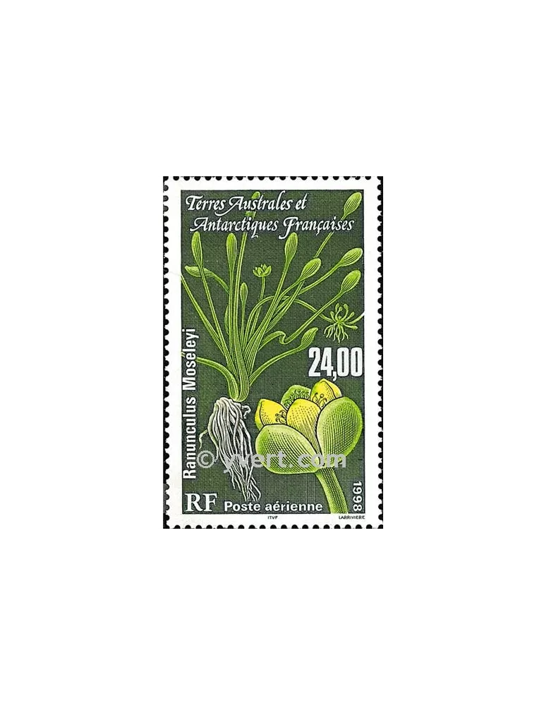 n° 146 - Timbre TAAF Poste aérienne