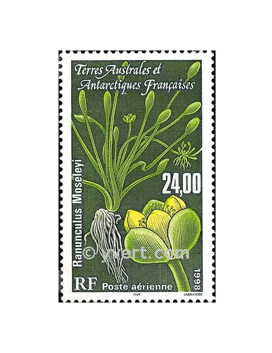n° 146 - Timbre TAAF Poste aérienne