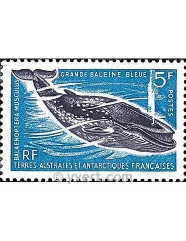 n° 22 - Timbre TAAF Poste