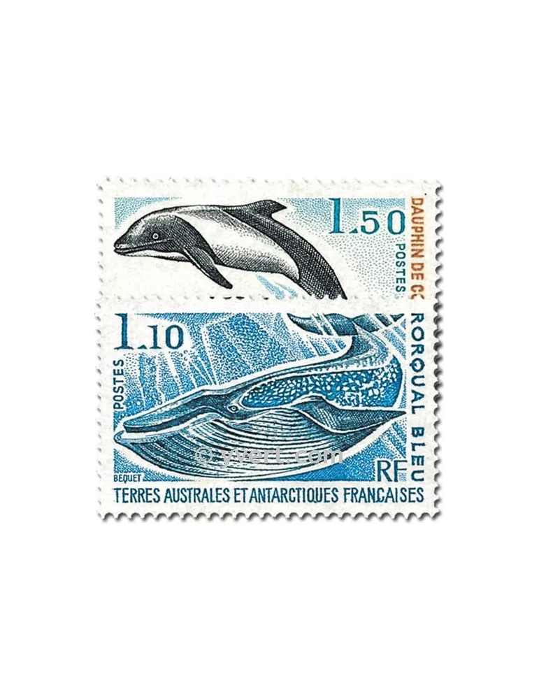 n° 64/65 - Timbre TAAF Poste