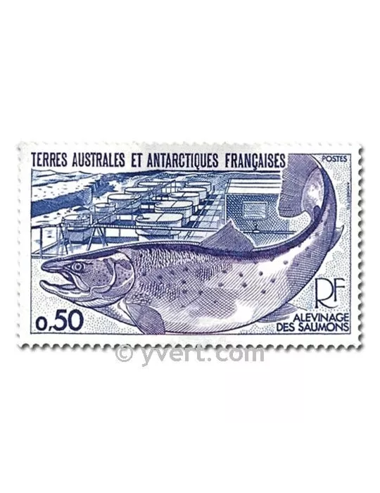 n° 71/72 - Timbre TAAF Poste