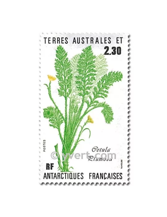 n° 118/119 - Timbre TAAF Poste