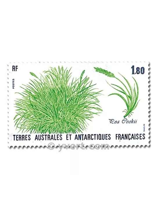 n° 125/126 - Timbre TAAF Poste