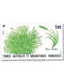 n° 125/126 - Timbre TAAF Poste
