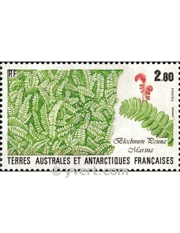 n° 143 - Timbre TAAF Poste 2