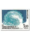 n° 144/145 - Timbre TAAF Poste