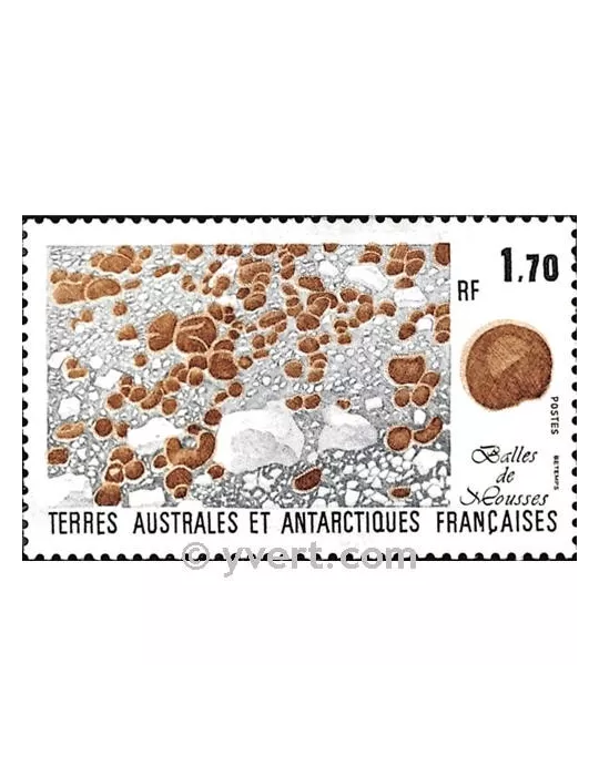 n° 156 - Timbre TAAF Poste