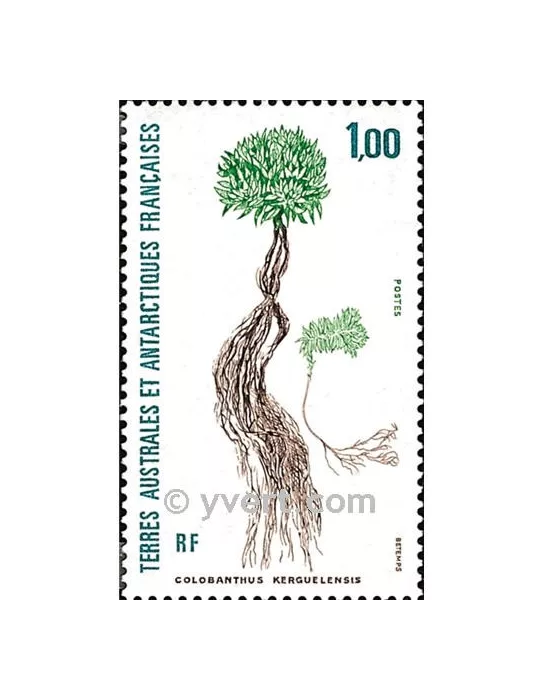 n° 164 - Timbre TAAF Poste