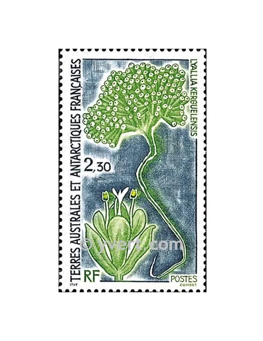 n° 175 - Timbre TAAF Poste