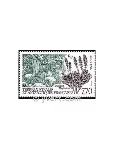 n° 209 - Timbre TAAF Poste