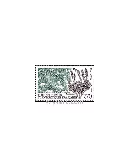n° 209 - Timbre TAAF Poste