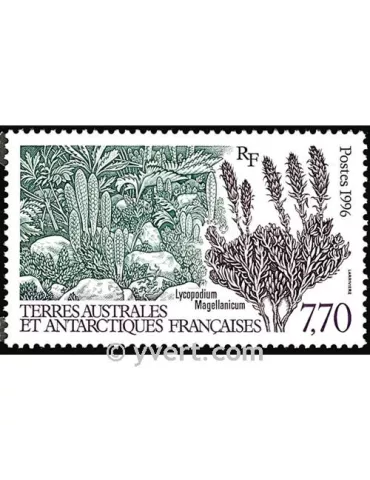 n° 209 - Timbre TAAF Poste 2