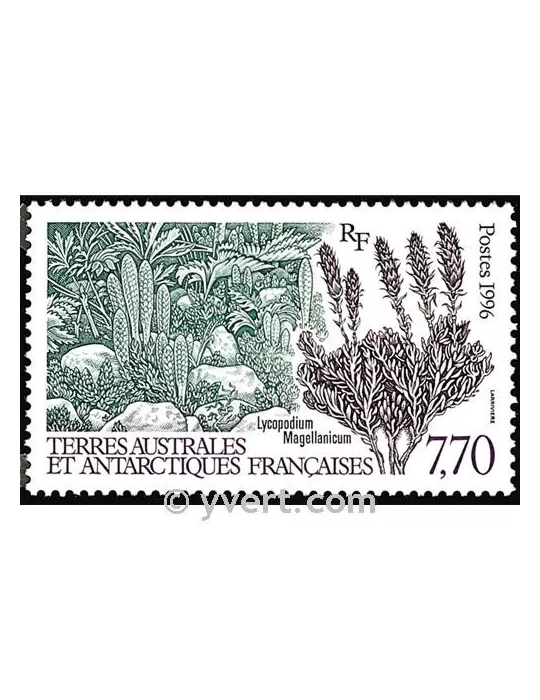 n° 209 - Timbre TAAF Poste