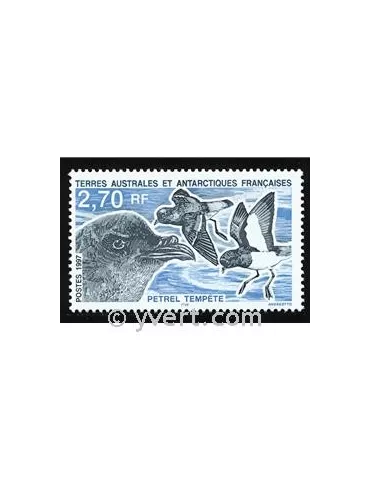 n° 214 - Timbre TAAF Poste