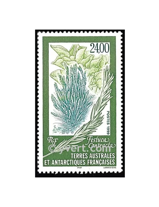 n° 244 - Timbre TAAF Poste