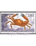 n° 335 - Timbre TAAF Poste