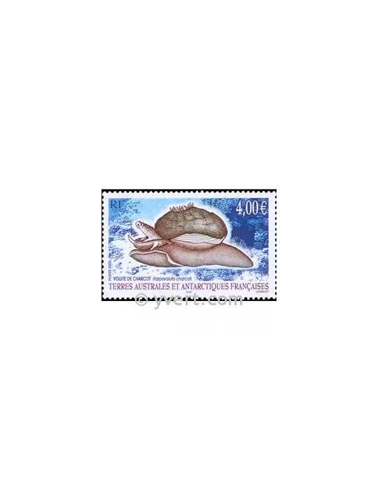 n° 411 - Timbre TAAF Poste