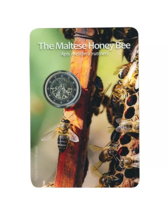 BU : 2 EURO COMMEMORATIVE 2024 : MALTE (L´abeille Maltaise)