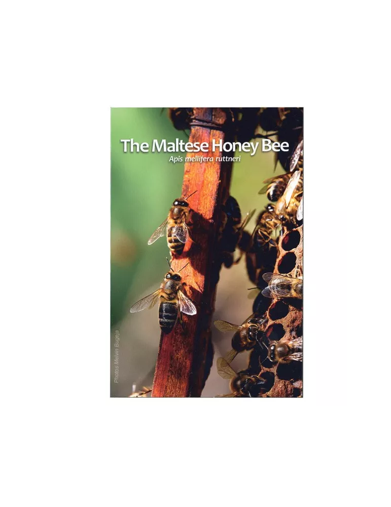 BU : 2 EURO COMMEMORATIVE 2024 : MALTE (L´abeille Maltaise)