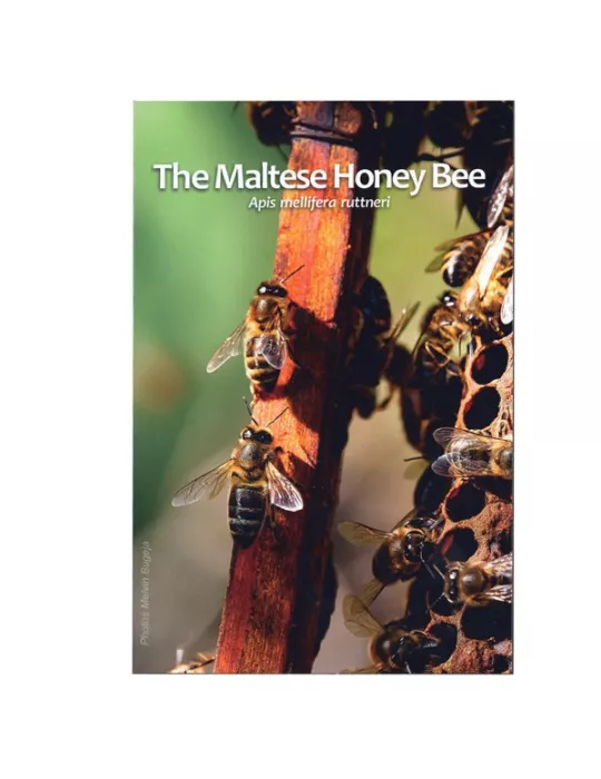 BU : 2 EURO COMMEMORATIVE 2024 : MALTE (L´abeille Maltaise)