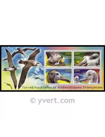 n° 24 - Timbre TAAF Bloc et feuillets