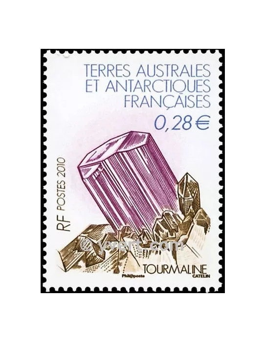 n° 556 - Timbre TAAF Poste