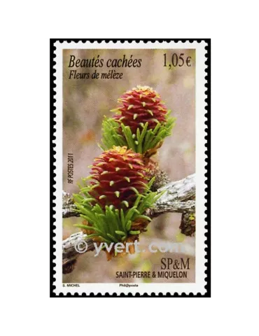 n° 994 - Timbre Saint-Pierre et Miquelon Poste 2