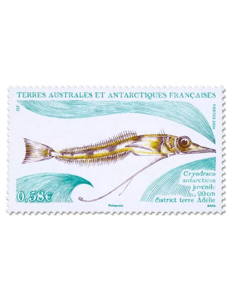 n° 1075/1076 - Timbre TAAF Poste