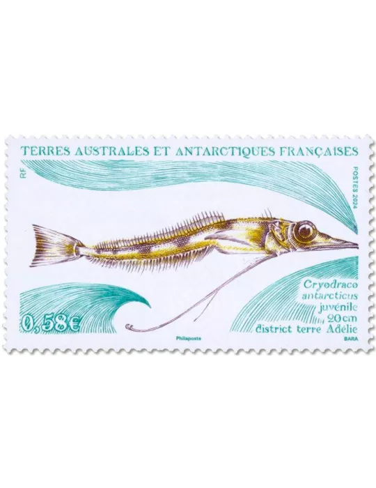 n° 1075/1076 - Timbre TAAF Poste